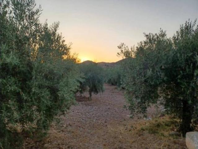 Casa Venta Lorca, La Hoya Almendricos Purias