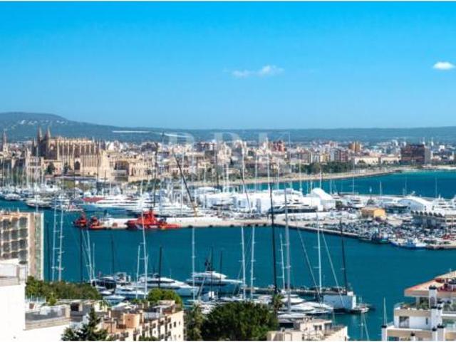 Casa Venta Palma de Mallorca, El Terreno