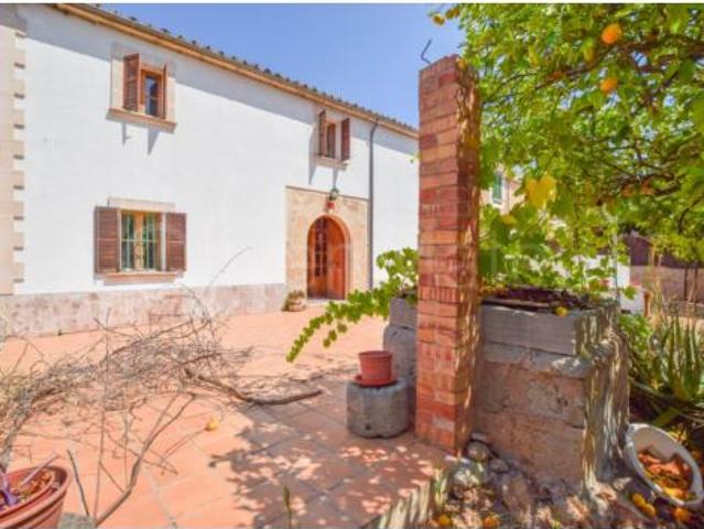 Casa Venta Palma de Mallorca, Establiments