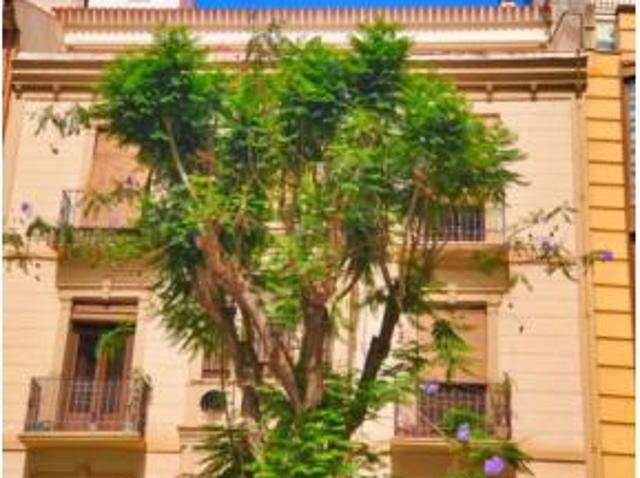 Casa Venta Petrer, Zona Aguarríos