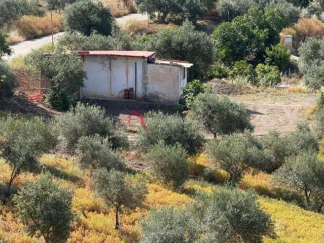 Casa Venta Pizarra, Pizarra