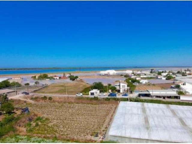 Casa Venta Sanlúcar de Barrameda, Bonanza Martín Miguel Monteolivete