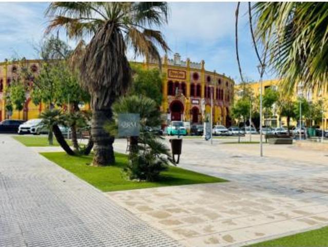 Casa Venta Sanlúcar de Barrameda, El Pino Bajo de Guía