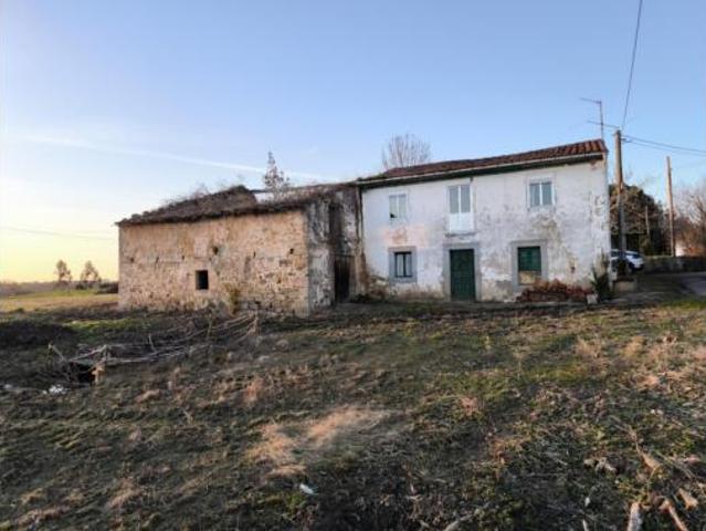 Casa Venta Villaviciosa, Abedules