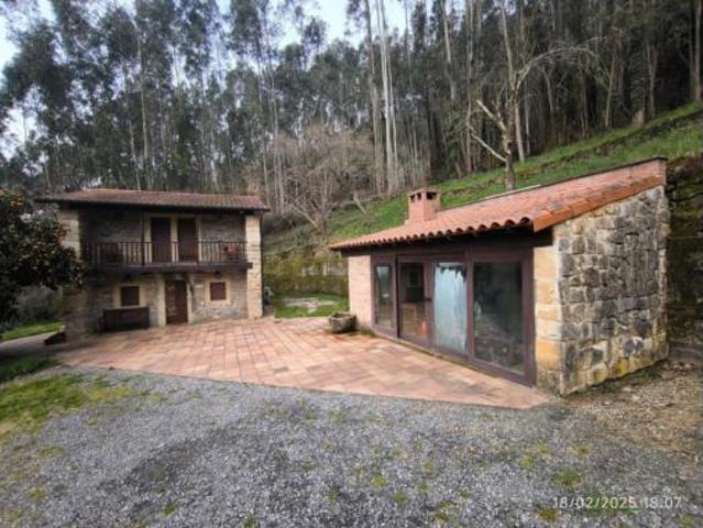 Casa Venta Villaviciosa, Abedules