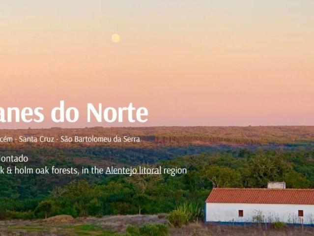 Casa / Villa em Santiago do Cacm, Santa Cruz e So Bartolomeu da Serr