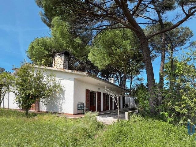 Casa / Villa T4 em Madalena e Beselga de 170,00 m²