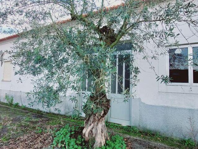 Casa / Villa T4 em Porto de Mós São João Baptista e São Pe. 446m² Porto De Mós São Pedro