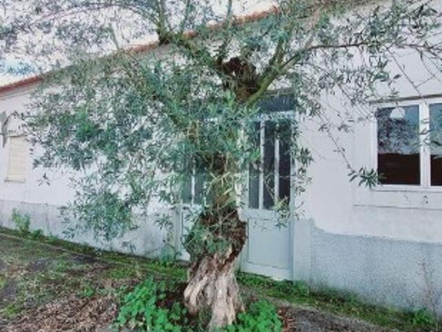 Casa / Villa T4 em Porto de Mós São João Baptista e São Pedro de 446,00 m²