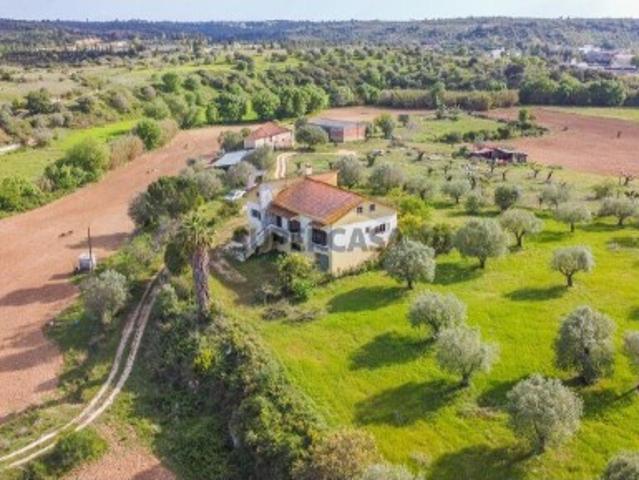 Quinta T6 em Alcanena e Vila Moreira de 172,00 m²