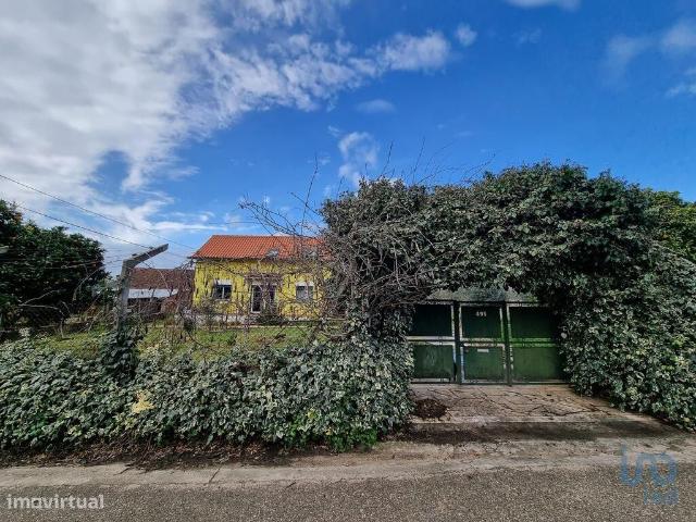Casa / Villa T2 em Areias e Pias de 80,00 m2