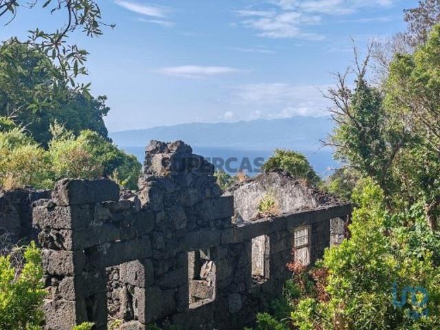 Casa / Villa T2 em Ribeirinha de 695,00 m²