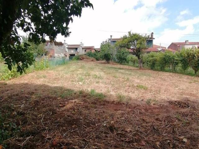 Casa / Villa T2 em Semide e Rio Vide de 266,00 m2