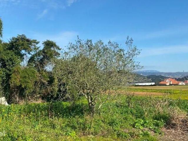 Casa / Villa T3 em Mafra de 225,00 m2