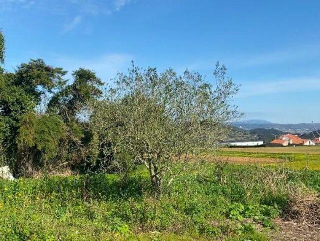 Casa / Villa T3 em Mafra de 225,00 m² 225m² Mafra