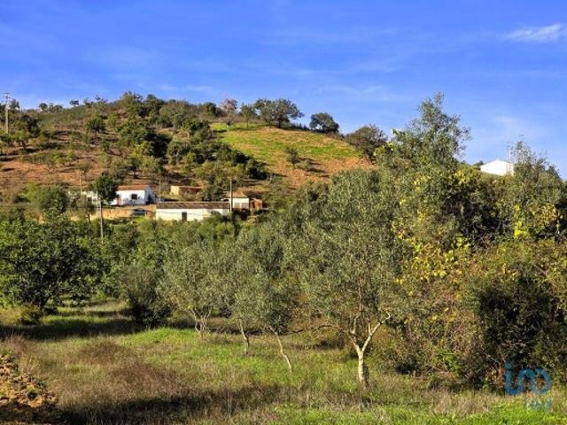 Casa / Villa T3 em São Bartolomeu de Messines de 518,00 m²