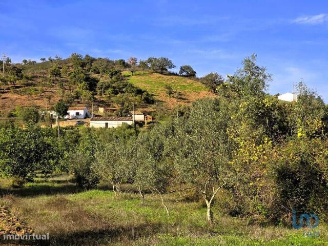 Casa / Villa T3 em So Bartolomeu de Messines de 518,00 m2