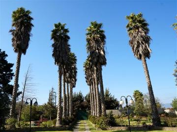 Casa y parcela en venta de 5 dorm. En Quillota | 5 Dormitorios por 20000.00 en Quillota