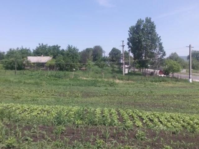 Casa 3 camere in Rebricea Iasi, pret foarte avantajos