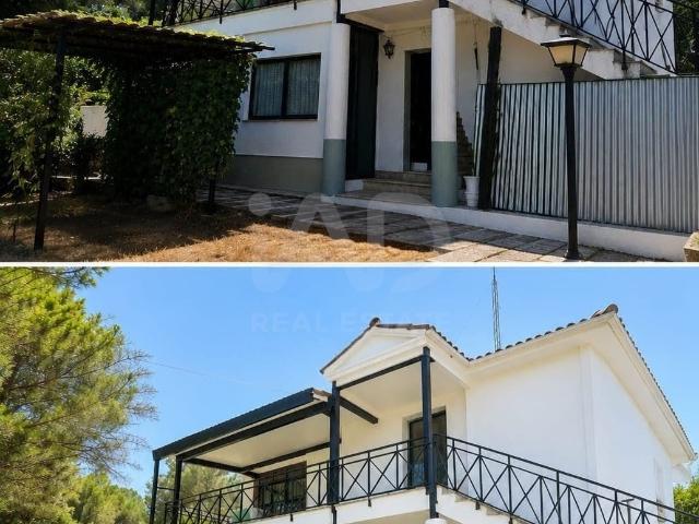 Casa 4 dormitorios 180 m2