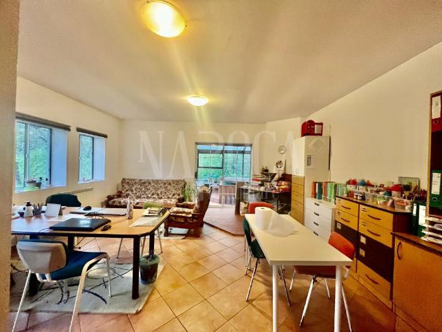 Casa 6 camere de inchiriat in Grigorescu, Cluj Napoca, ID IC6 159367