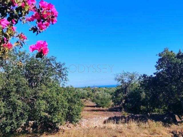Casaa 4 quarto, Tavira Tavira DLS100767924