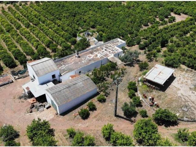 Casaa 4 quarto, Tavira Tavira DS87633219