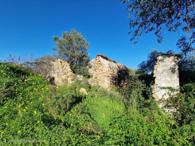 Casaa 4 quarto, Tavira Tavira DS87937934