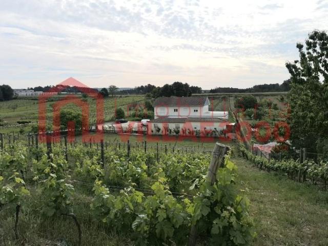 Casaa 4 quarto, Vila Real Vila Real DS87596715