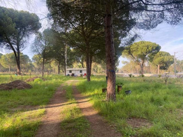 Casaa 4 quarto, Alcácer do Sal Setúbal DS94289787