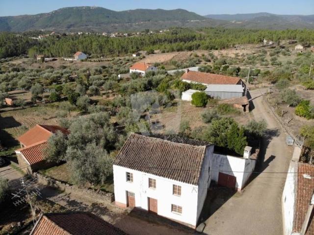 Casaa 4 quarto, Castelo Branco Castelo Branco DLS78384713