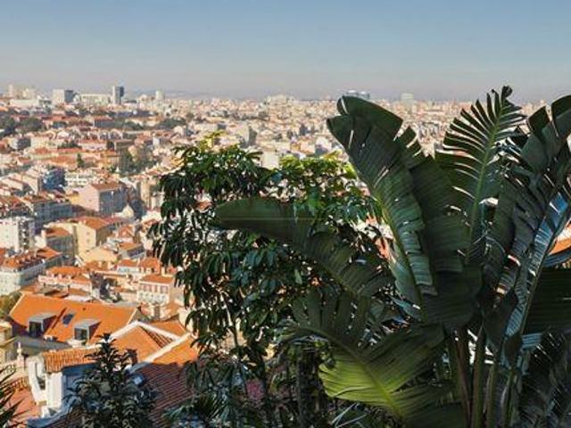 Casaa 4 quarto, Lisboa Lisboa DS97109352