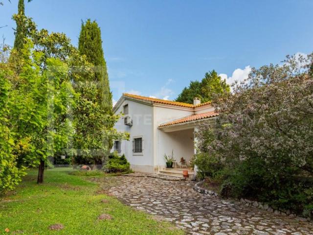 Casaa 4 quarto, Palmela Palmela DS103068879