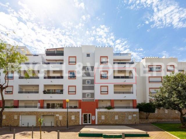 Casaa 4 quarto, São Brás de Alportel São Brás de Alportel DS101524338