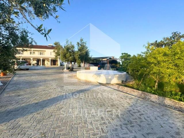Casaa 4 quarto, Santarém Santarém DLS101564252