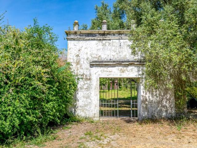 Casaa 4 quarto, Sintra Sintra DS92035478