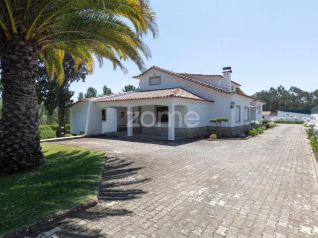 Casaa 5 quarto, Tábua Tábua DS102859204