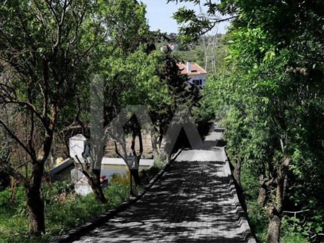 Casaa 5 quarto, Vila Franca de Xira Vila Franca de Xira DS102761043