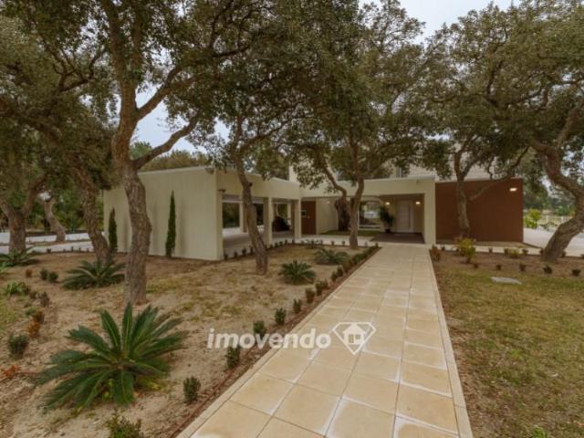 Casaa 5 quarto, Palmela Palmela DLS92294772