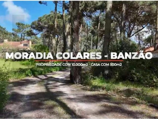 Casaa 6 quarto, Sintra Sintra DS96614357