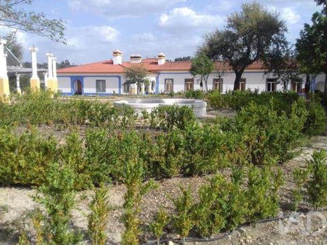 Casaa 11 quarto, Almeirim Santarem DLS98150952
