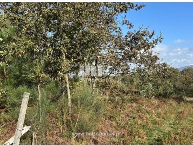 Casaa 1 quarto, Valença Valença DLS99984706