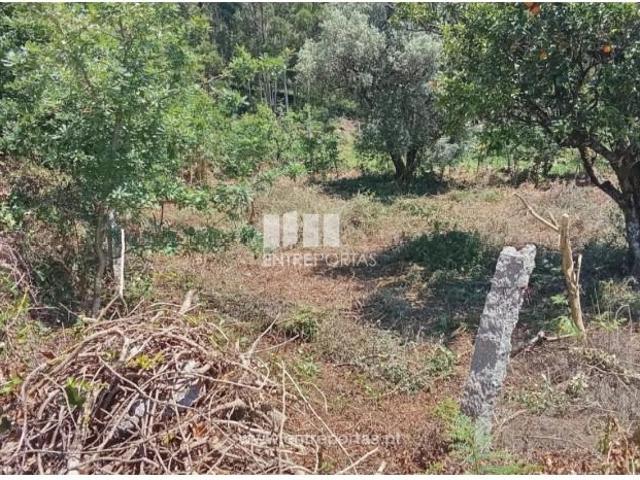 Casaa 1 quarto, Valença Valença DS101568420