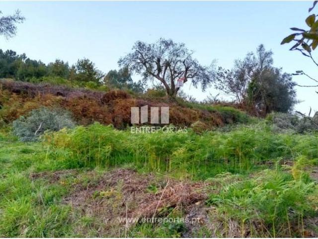 Casaa 1 quarto, Valença Valença DS102577874