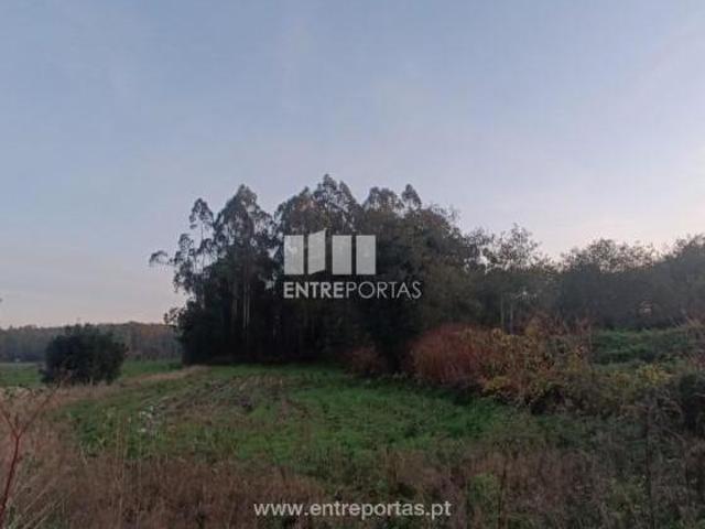 Casaa 1 quarto, Vila do Conde Vila do Conde DS102934331