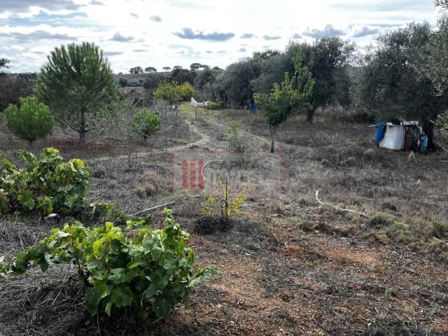 Casaa 1 quarto, Almodôvar Almodôvar DS97118618
