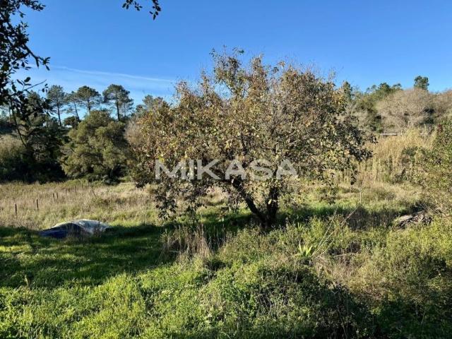 Casaa 1 quarto, Aljezur Algarve DS99694005