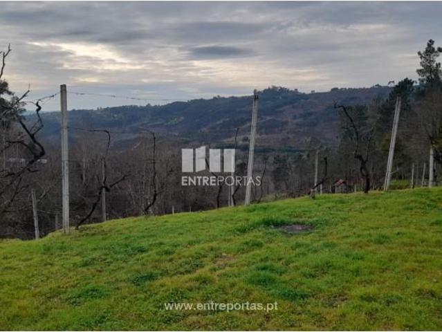 Casaa 1 quarto, Amarante Amarante DLS87911240
