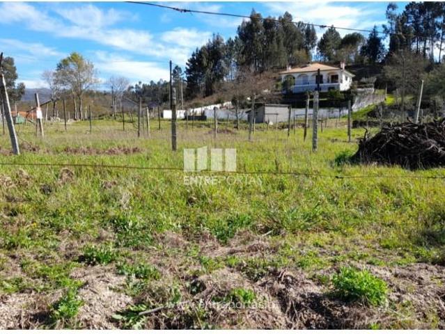 Casaa 1 quarto, Amarante Amarante DLS99922374