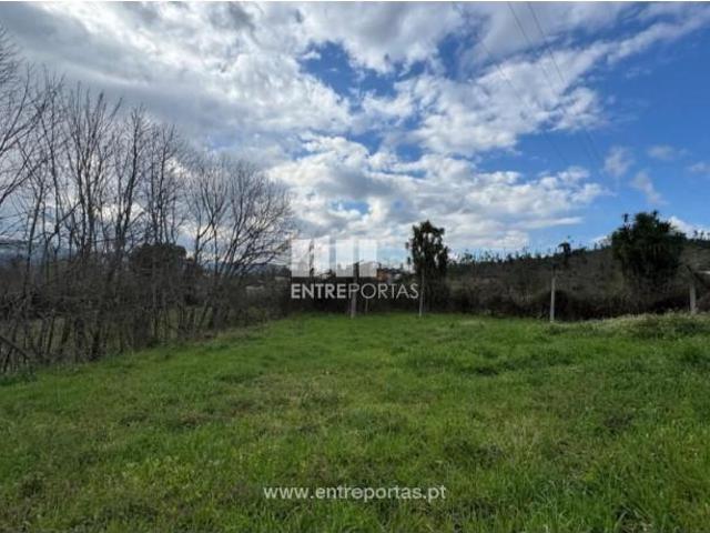 Casaa 1 quarto, Amarante Amarante DLS101741334